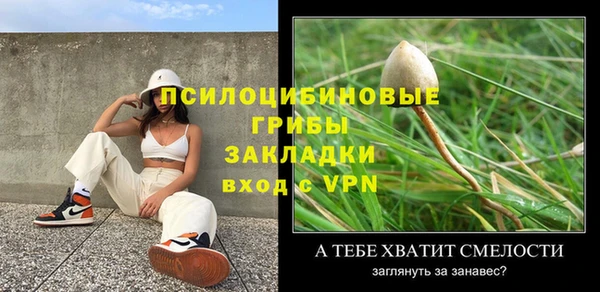крисы Ладушкин