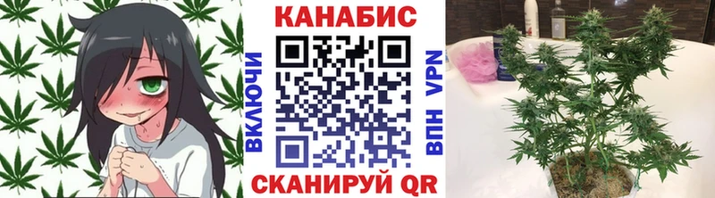 Канабис OG Kush  Юрюзань 